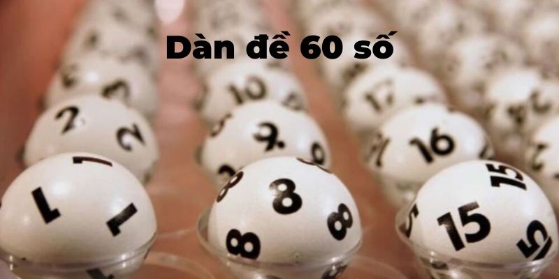 Nên cân nhắc số vốn của bạn có thích hợp để nuôi dàn đề 60 con hay không
