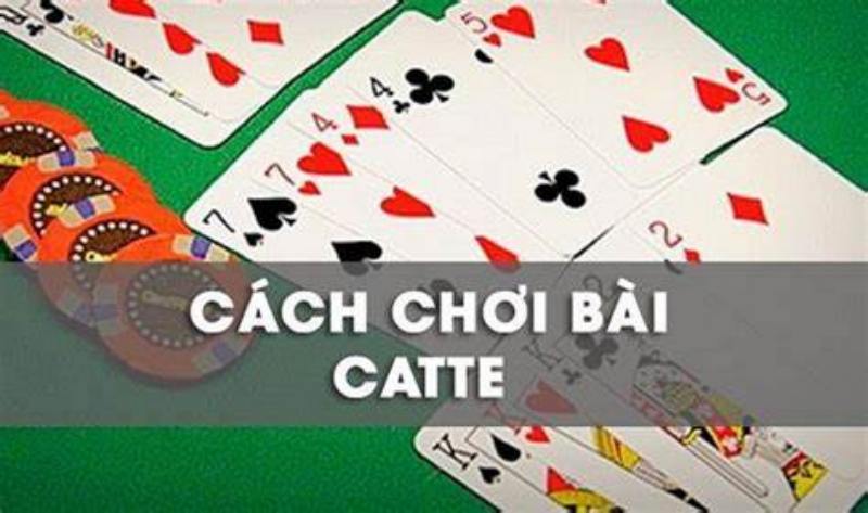 Luật chơi và cách chơi Catte