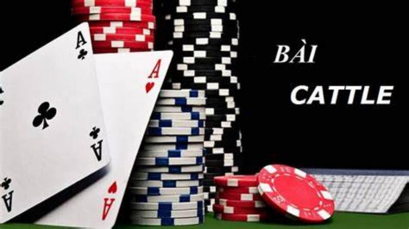 Những thuật ngữ trong bài Catte